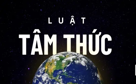 Tóm tắt sách Luật Tâm Thức - Hành trình nâng cao tâm thức