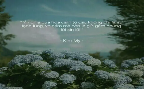 Thơ tình lãng mạn với hình ảnh hoa cẩm tú cầu mộng mơ