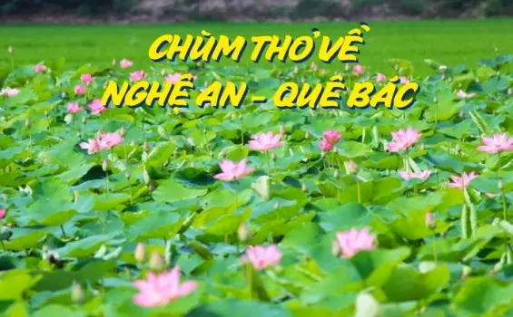 Thơ về Nghệ An - Miền ký ức đậm đà giọng nói xứ Nghệ