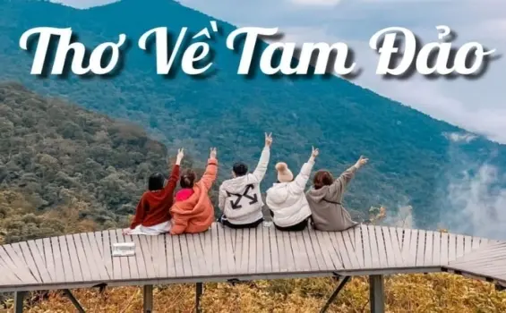 Tuyển chọn thơ hay về Tam Đảo - Sương mờ và mộng mơ
