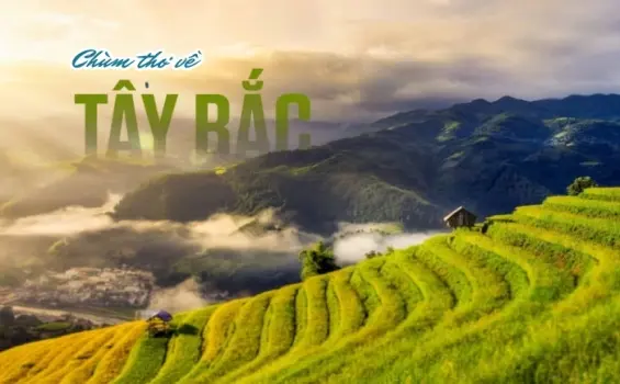 Tuyển chọn thơ hay về Tây Bắc - Vùng đất sương giăng kỳ vĩ