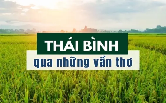 Chùm thơ hay về Thái Bình mang hồn quê lúa Việt Nam