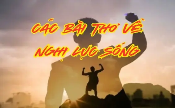 Tuyển tập bài thơ về nghị lực sống đầy cảm hứng