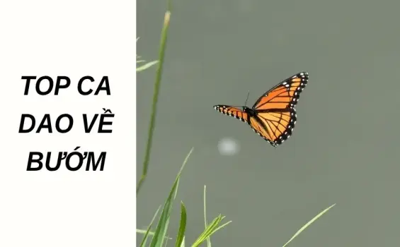 Top ca dao về bướm thể hiện tình yêu và sự nhẹ nhàng