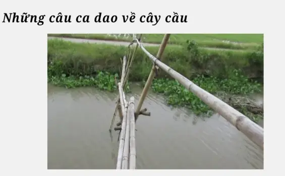 Những câu ca dao về cây cầu hay gợi nhớ quê hương