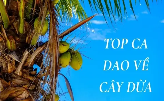 Khám phá ý nghĩa sâu sắc trong ca dao về cây dừa