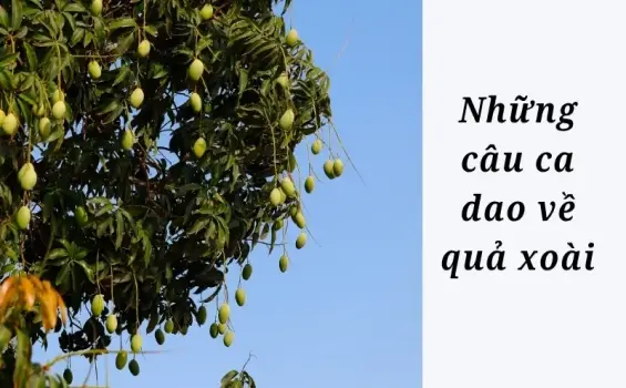 Tuyển chọn những câu ca dao về quả xoài hay và ý nghĩa nhất