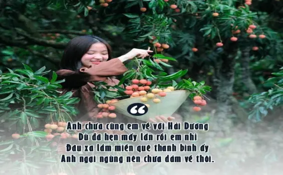 Chùm thơ về Hải Dương chan chứa tình quê hương sâu sắc