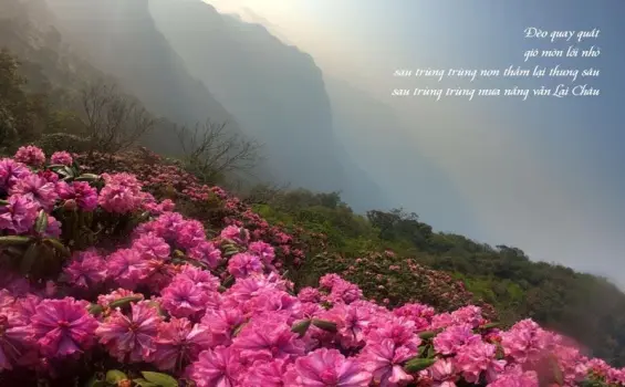 Tuyển tập thơ về Lai Châu ngập tràn sắc núi tình người