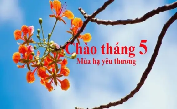 Thơ về tháng 5 đầy cảm xúc gợi nhớ kỷ niệm xưa