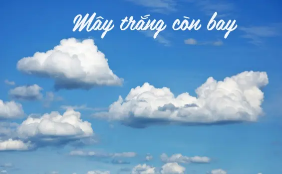 Trọn bộ truyện Mây Trắng Còn Bay cảm động và sâu sắc