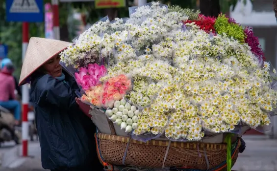 Tóm tắt truyện Một người Hà Nội Ngữ văn 12 - Vẻ đẹp văn hóa Hà Nội