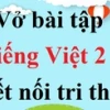 Cánh đồng quê em thật đẹp qua lăng kính lớp 2