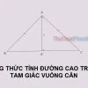 Đường Cao Trong Tam Giác Cân: Định Nghĩa, Công Thức Và Cách Tính