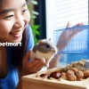 Hướng dẫn lựa chọn thức ăn cho chuột Hamster đầy đủ nhất năm 2026