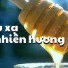 Hữu xạ tự nhiên hương nghĩa là gì? Khám phá sâu sắc ý nghĩa và cách ứng dụng