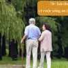 Khám phá ý nghĩa sâu sắc của thơ về cuộc đời