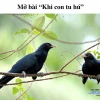 Khi con tu hú gọi bầy: Nỗi niềm người tù và bức tranh mùa hè