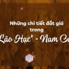 Phân tích chuyên sâu truyện ngắn Lão Hạc của Nam Cao
