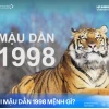 Sinh năm 1998 tuổi Mậu Dần mệnh gì, hợp tuổi nào và màu gì năm 2026