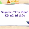 Soạn bài Thu điếu lớp 8 ngắn nhất đầy đủ và chi tiết