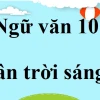 Tóm tắt Đất rừng phương Nam: Bức tranh chân thực về thiên nhiên, chiến tranh và con người