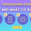 Tủ là gì? Khám phá định nghĩa và các loại tủ phổ biến