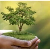 Tuổi Mão sinh năm 2011 mệnh gì? Khám phá vận mệnh và màu sắc hợp phong thủy