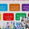 Bí quyết như thế nào để làm việc nhóm hiệu quả nhất năm 2026