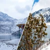 Comprehensive Weather Report for Sikkim Including Gangtok Forecast 2026