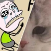 Tuyển tập hình ảnh meme về các tình huống dở khóc dở cười năm 2026