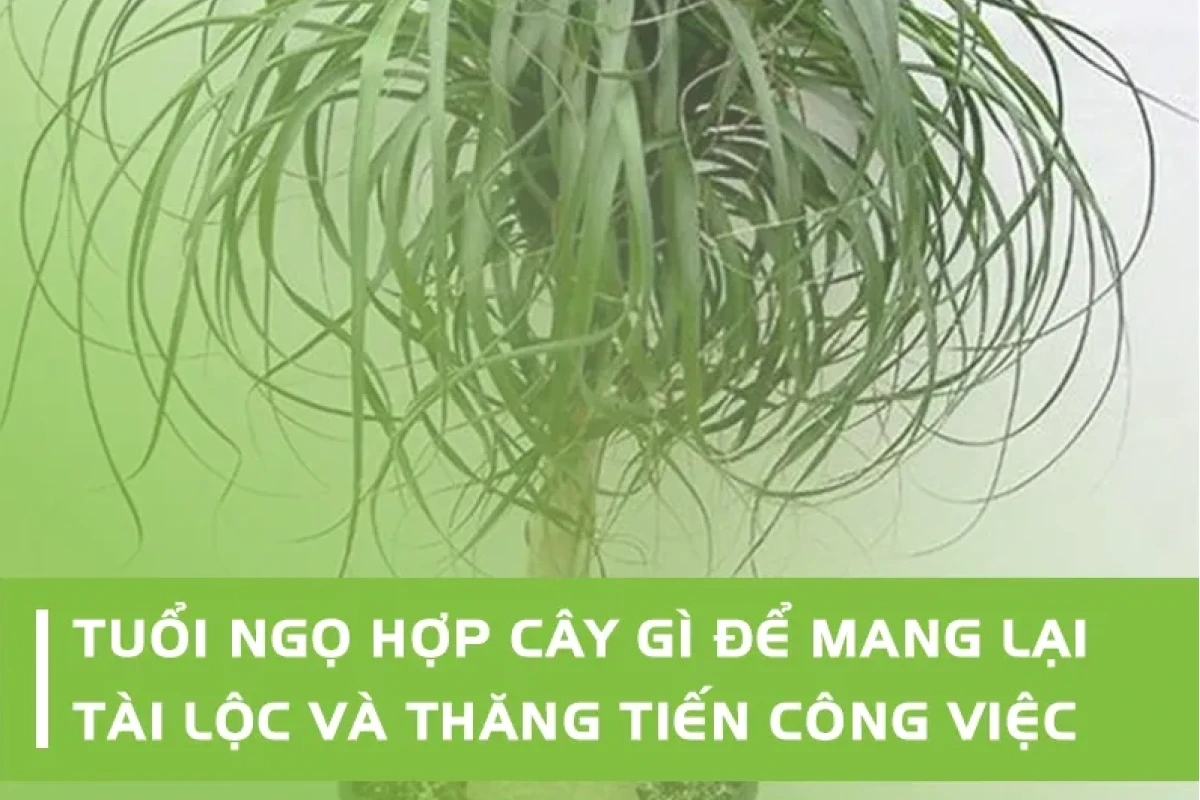 1978 hợp cây gì? Chọn cây phong thủy hút tài lộc cho người Mậu Ngọ