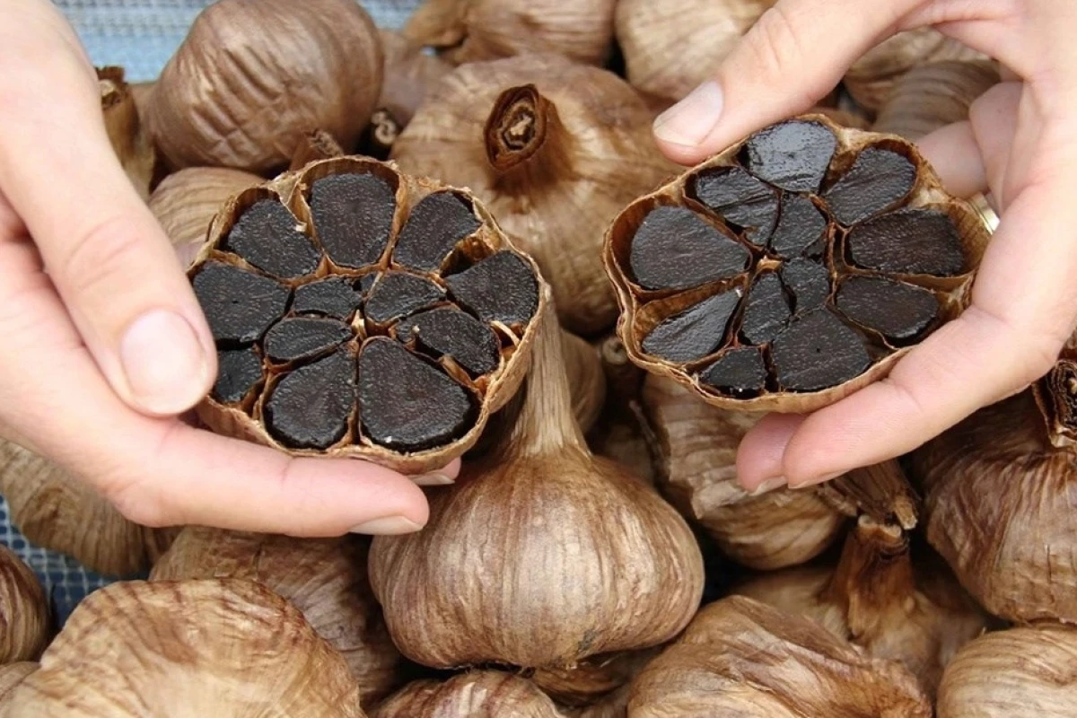 Tỏi đen có tác dụng gì? Khám phá lợi ích sức khỏe toàn diện