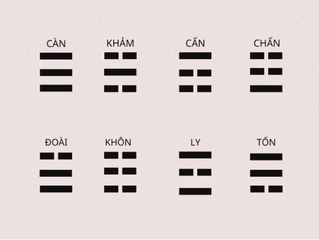 8 thẻ bát quái dự đoán giới tính