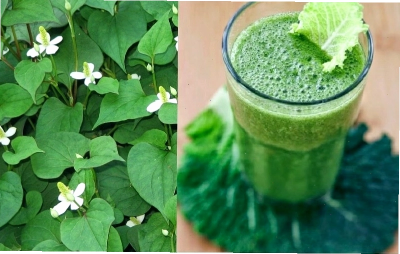 Bác sĩ tư vấn về sức khỏe phụ nữ