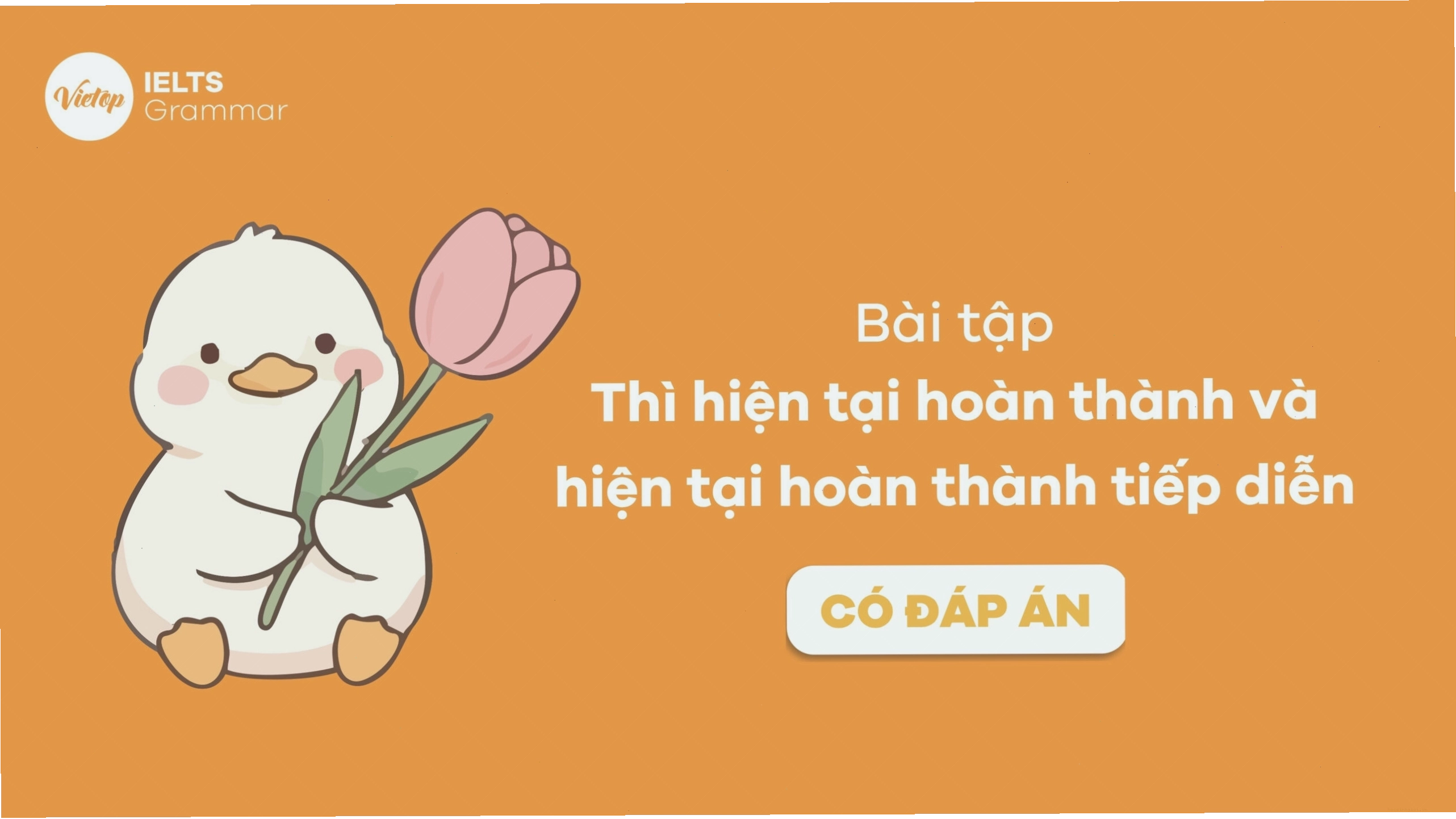 Bài tập về thì hiện tại hoàn thành và hiện tại hoàn thành tiếp diễn