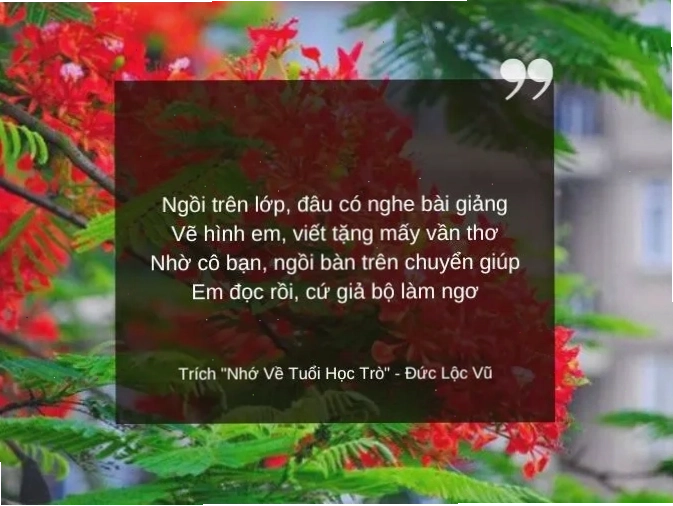 Bài thơ về tình yêu buồn và sự cô đơn
