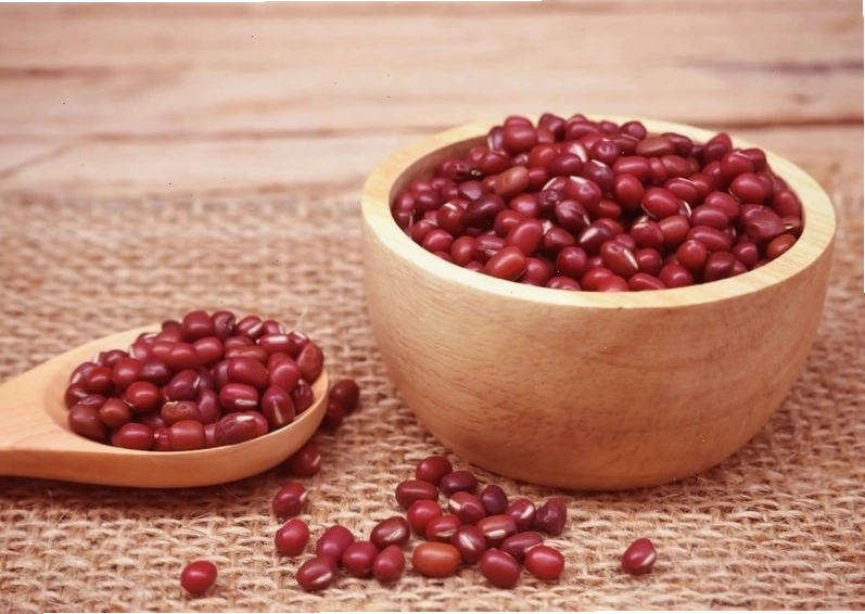 Bổ sung dinh dưỡng cần thiết giúp trẻ phát triển ngôn ngữ