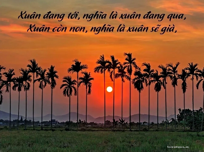 Bức tranh thiên nhiên thanh bình
