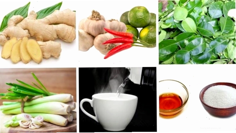 Các nguyên liệu cơ bản gồm gừng sả tỏi ớt và nước mắm ngon