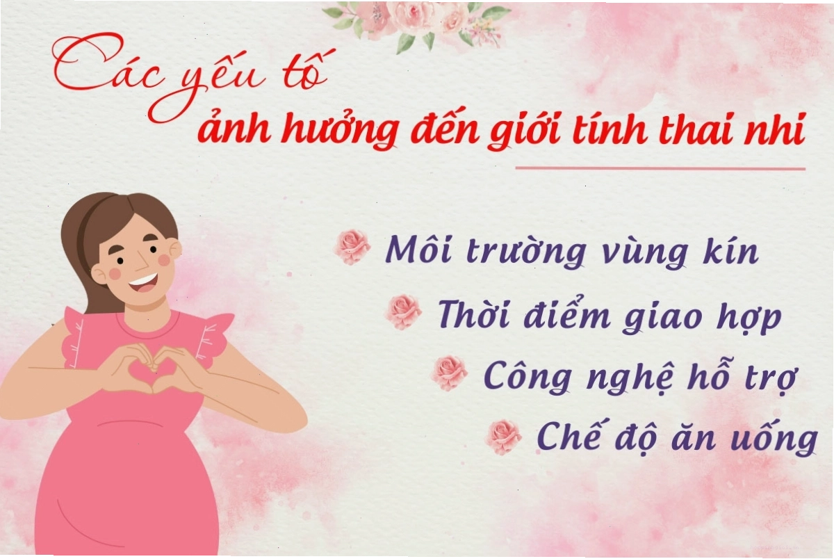 Các yếu tố ảnh hưởng đến giới tính thai nhi