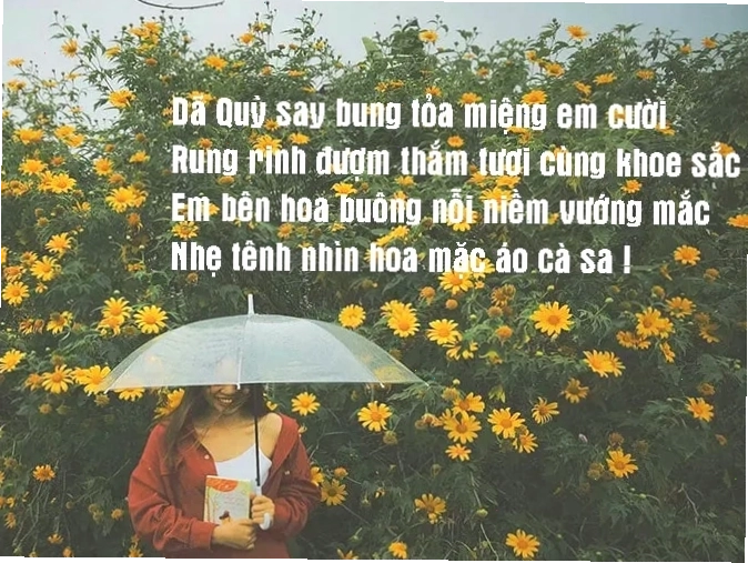 Cảm xúc trong thơ ca hiện đại