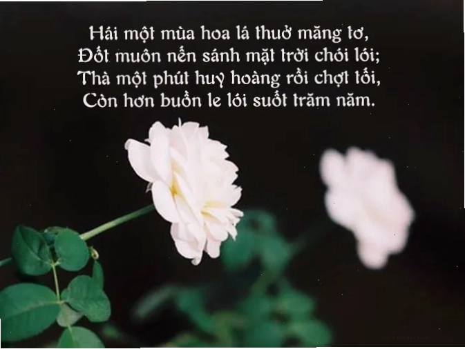 Cảnh chiều thu lãng đãng trong thơ ca