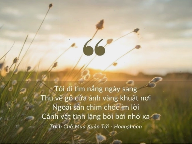 Cảnh mưa rơi làm ướt lá cây và mặt đất