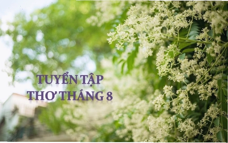 Cảnh sắc mùa thu tháng 8 yên bình