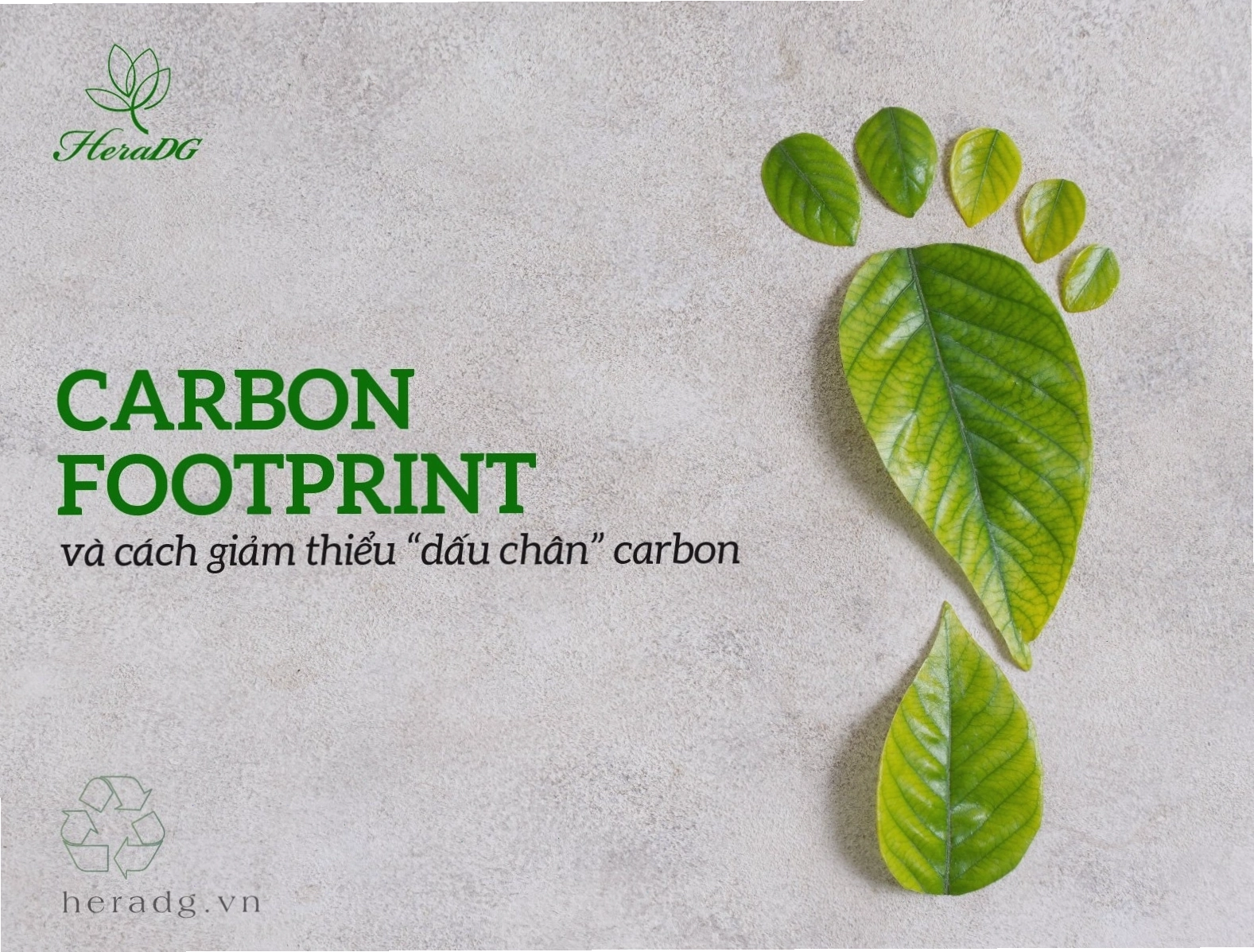 Carbon footprint và cách giảm thiểu hiệu quả các tác động tiêu cực