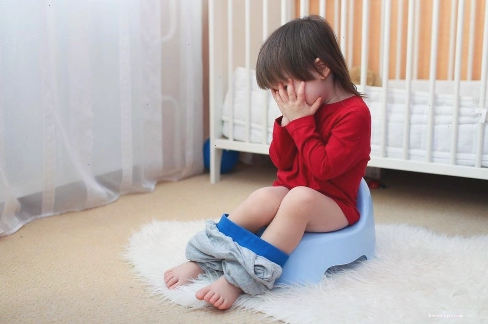 Cha mẹ cần hướng dẫn trẻ em tự lau đúng cách sau khi đi vệ sinh để phòng ngừa viêm nhiễm vùng kín