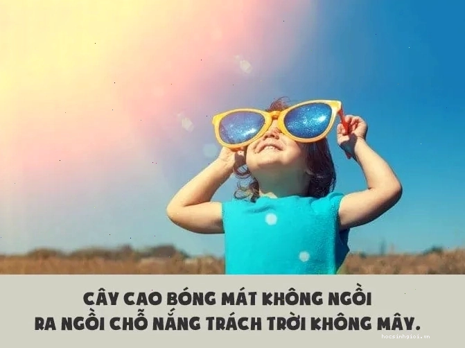 Châm biếm về tình bạn ảo