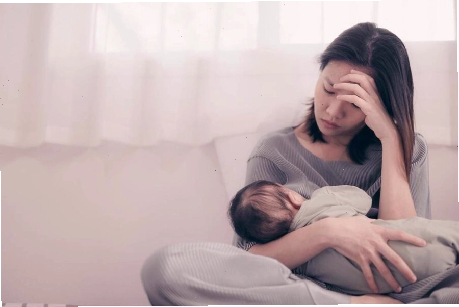 Chè vằng dùng đúng cách và đúng liều lượng có tác dụng gọi sữa về cực hiệu quả