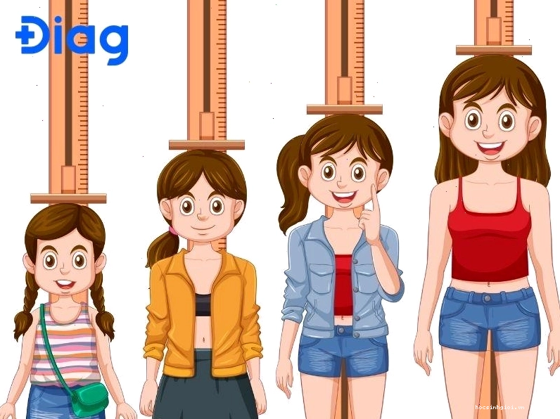 Chiều cao bắt đầu phát triển nhanh trong giai đoạn dậy thì